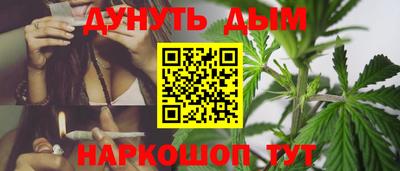СК Рязань