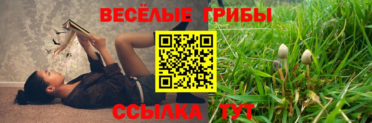 Псилоцибиновые грибы Magic Shrooms Рузаевка